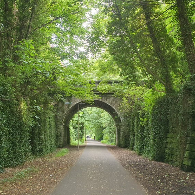 A large stone archway with a path going through it. There are stone walls on either side that are covered in ivy and trees cover the sky to the sides and above the archway.